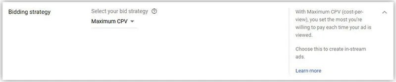 google ads Maximum CPV